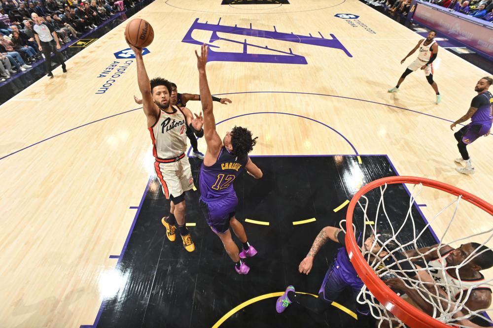 极强的韧性 极强的韧性