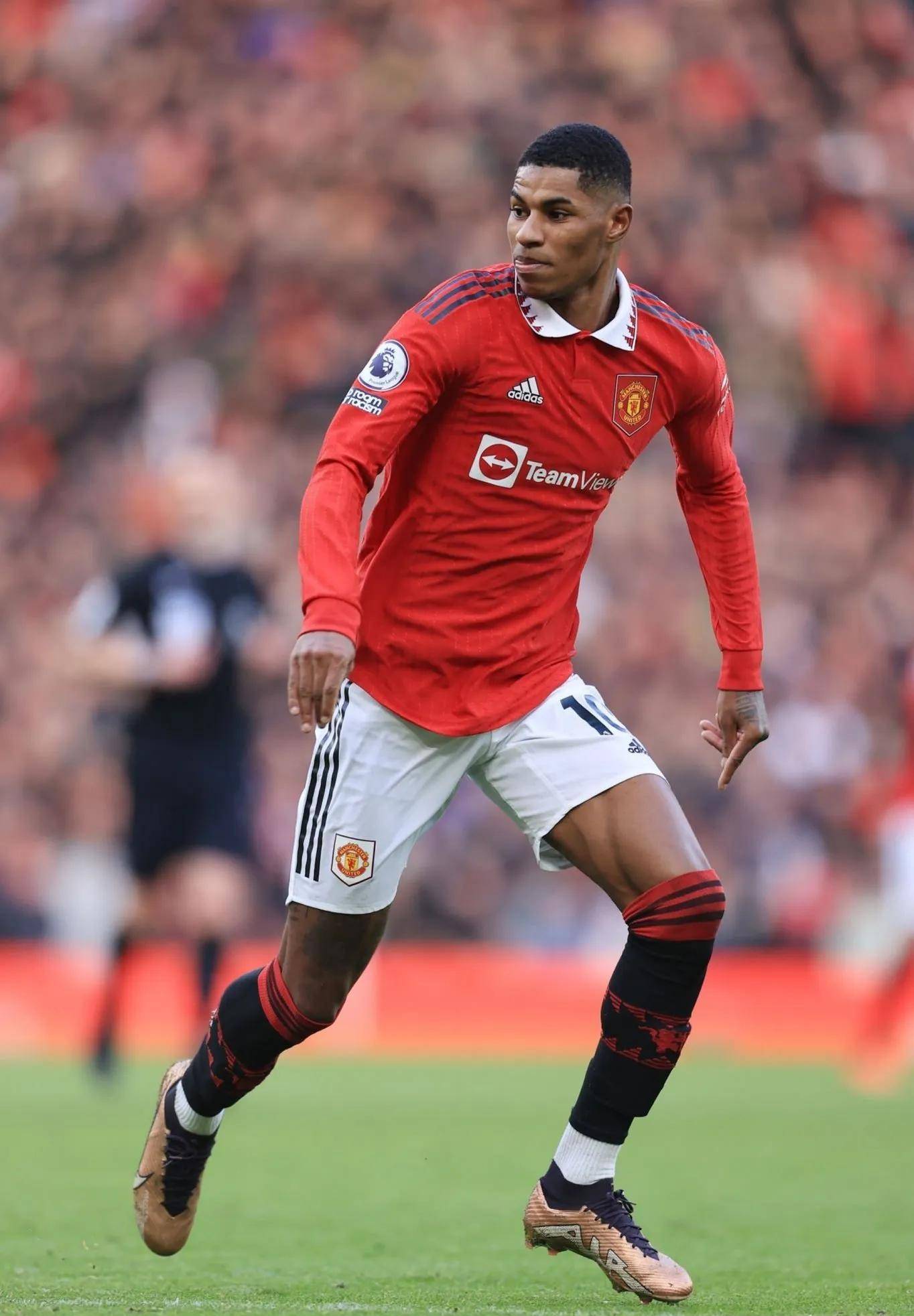 了待售名单 了待售名单